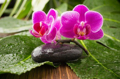 贵阳丝袜上门服务